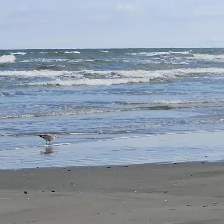 Isabelle Alezzi Mamaia Nord Apartment